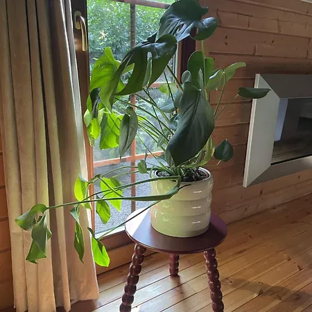 Fantastisch Met Veel Ruimte En Fijne Tuin 에페