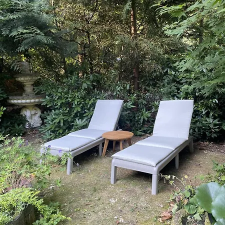 펜션 Fantastisch Met Veel Ruimte En Fijne Tuin